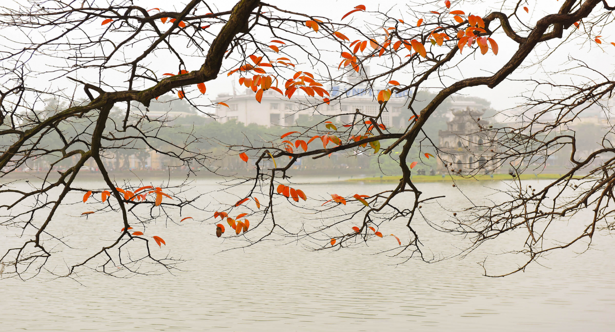 Experience the Poetry of Autumn in Hanoi